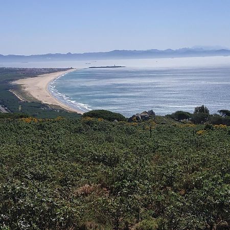 Apartament Mar Adriatico Tarifa Zewnętrze zdjęcie